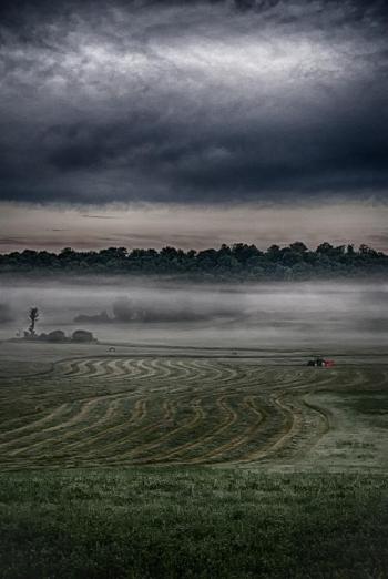 Vermont Farm Dawn, David Wolk