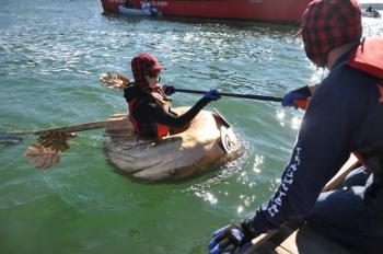 pumpkin regatta