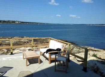 Sunny the lighthouse dog takes a break from bird watching on the deck outside the Inn at Cuckolds Lighthouse. Courtesy of Dan Aube