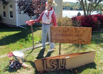 This scene out of the bayous of Louisiana has to be seen. SUZI THAYER/Boothbay Register