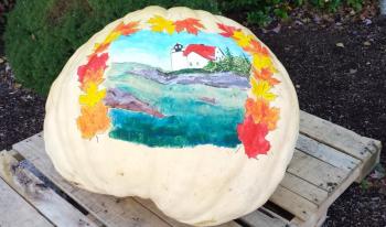 THIS PUMPKIN will remain outside the Boothbay Harbor Region Chamber of Commerce for the Damariscotta Pumpkinfest and Regatta and Boothbay Fall Foliage Festival this weekend. Other pumpkins won’t be so lucky: They will meet a gruesome and glorious end, whether by trebuchet, motor boat, gravity or pie. BEN BULKELEY/Boothbay Register