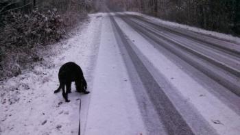 Back Narrows Road, Boothbay about 9:40 a.m. Snow has piled up considerably since then. (KEVIN BURNHAM/Boothbay Register)