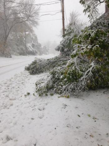 Rockport Village. (Photo courtesy Beth Davis)