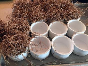 Pine Cone Fire Starters, in the production process. SUZI THAYER/Boothbay Register