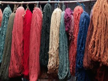 Freshly dyed skeins of alpaca wool dry in the Peruvian sun. Courtesy of Kathleen Jones
