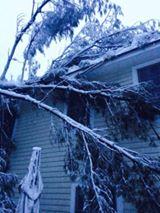 Outside Vicki Ingram Worden’s house in Camden. (Courtesy Vicki Ingram Worden)