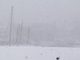 The view on Sea Street, looking over Camden Harbor towards Cappy’s. (Courtesy Christine Ramsay)