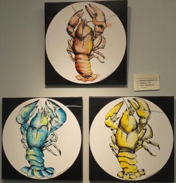 “Homarus Humorous” acrylic and ink by Ann Hedgecock