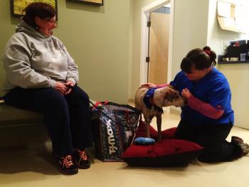 Underhound Railroad, Woodbrook Animal Clinic, Renee Coombs, Tammy Doughty