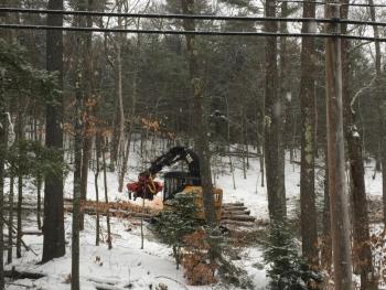 Cushman Mountain, Chewonki Foundation