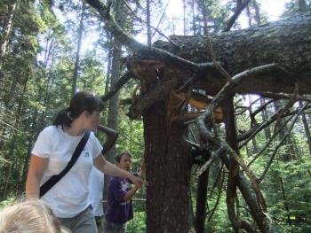photo of outdoor hike