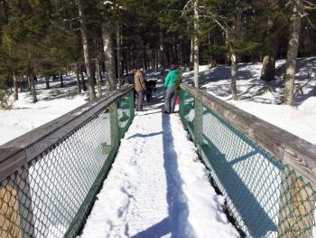The bridge over Penny Lake. SUZI THAYER/Boothbay Register