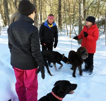 People and dogs take a break to chat. SUZI THAYER/Boothbay Register