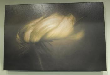 Kathleen Clemons’ “Windblown Rudbeckia”