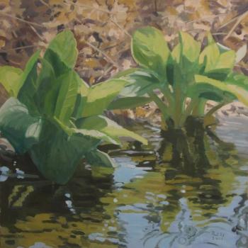 “Skunk Cabbage,” Stuart Ross, Bath. “Skunk Cabbage,” Stuart Ross