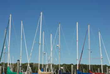 “Harbor Masts,” Tom Knobloch