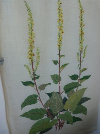 Ursula Smith botanical counted cross stitch