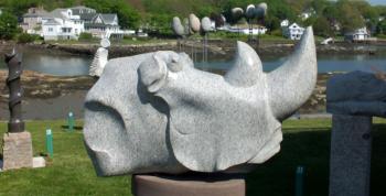 Rhino by Don J Meserve at Studio 53