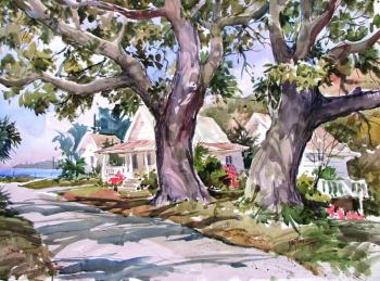 Tony van Hasselt’s Dancing Trees