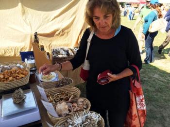 Sue Witt, a regular at the Boothbay Farmers Market, was being selective about the mushrooms she’d serve with a steak dinner. SUZI THAYER/Boothbay Register