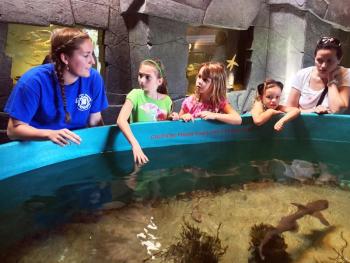Meghan Smith teaches visitors at the aquarium the correct way to touch a shark – with two fingers. SUZI THAYER/Boothbay Register