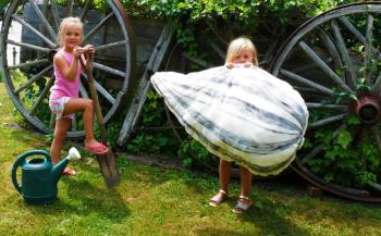 Planting the seed for the Sunflower Celebration. Barrett and Morgan Upson are expecting this sunflower seed to sprout an amazing interactive “art happening” for Friends of Thai Daughters on Aug. 12 at the Opera House at Boothbay Harbor. Join us and be part of the scene. Courtesy of Julie Lamy
