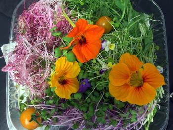 One of Lisa Evans’ and Tim Smith’s products is this microgreen and edible flower salad. Healthful and beautiful! SUZI THAYER/Boothbay Register