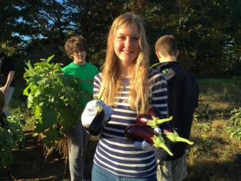 Loren Genrich gathers tiny eggplants to take home. KATRINA CLARK/Boothbay Register