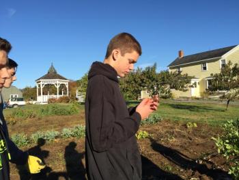Mitch Andrews tries one of the leftover tomatoes. KATRINA CLARK/Boothbay Register