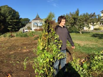 Freshman Brett Hollowell holds up one of the plants he helped haul out of the garden. KATRINA CLARK/Boothbay Register