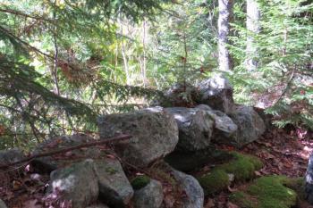 Stone walls are among the many inviting features of DRA’s new Rutherford Island Preserve trail in South Bristol. Courtesy photo