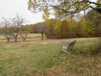 Singing Meadows