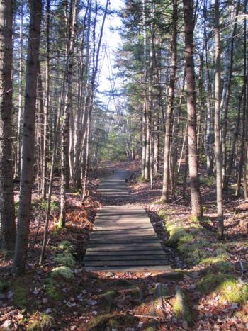 A boardwalk carries hikers across a marshy area of the Linekin Preserve. PHIL DI VECE/Wiscasset Newspaper