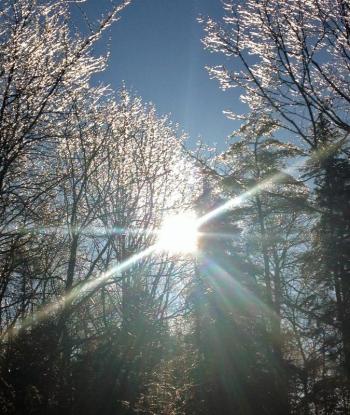 LISA KRISTOFF/Boothbay Register