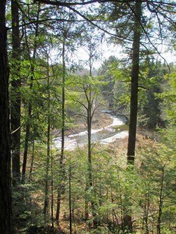 The view from “Hemlock Heights” overlooking the Trout Brook Preserve off Route 218 in Alna. PHIL DI VECE/Wiscasset Newspaper