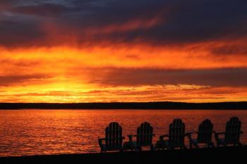 Last Light of Summer - Pamela Logan