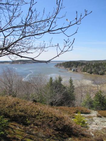 The view looking southwest from the Cox Head summit in the Wilber Preserve, Phippsburg. PHIL DI VECE/Wiscasset Newspaper