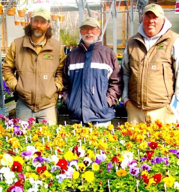 Tyler, Jerry and Jeremy Lupien display pansy flats at the Moose Crossing Garden Center in Waldoboro. ART MAYERS/Boothbay Register
