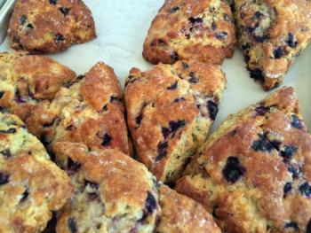 Blueberry lemon scones are one of Beryl’s Pastries top sellers. SUZI THAYER/Boothbay Register