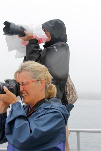 SUZI THAYER/Boothbay Register