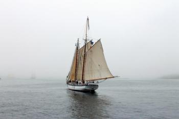 Photo of a Windjammer. SUZI THAYER/Boothbay Register