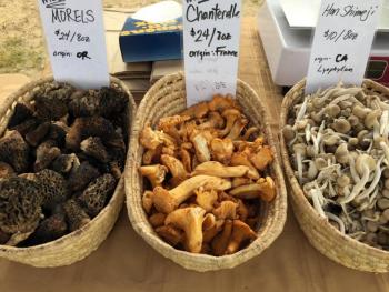 Morel, chanterelle and honshimiji mushrooms are just a few of the varieties offered by Oyster Creek Mushroom Company. SUZI THAYER/Boothbay Register