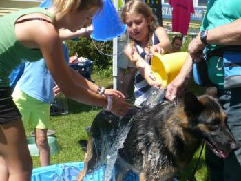 A scene from last year’s Mutt Scrub. Courtesy of Don Kingsbury