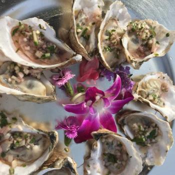 Local oysters on the half shell with cucumber-parsley mignonette was served at Newagen Seaside Resort. SUZI THAYER/Boothbay Register
