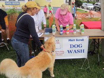 A scene from last year’s Mutt Scrub. Courtesy of Don Kingsbury