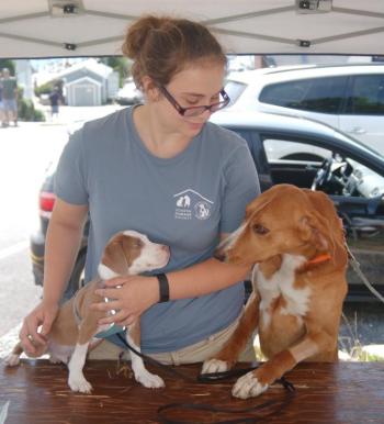 Kaleigh Manning of the Lincoln County Animal Shelter introduces shelter dog Westley to Red. ART MAYERS/Boothbay Register
