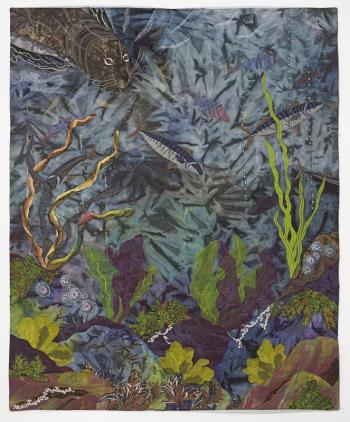 Sheer Wild Wonder by Betsy Abbott