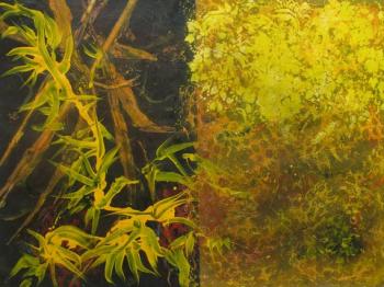 Maine artist Ed McCartan