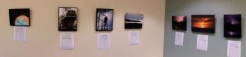 A wall of Orchulli images with bid sheets below that are filling up. Go check them out now. This guy has “the eye.”