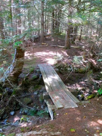 Footbridge in the Zak Preserve. PHIL DI VECE/Wiscasset Newspaper